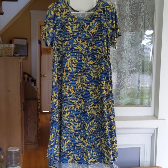 lularoe carly medium